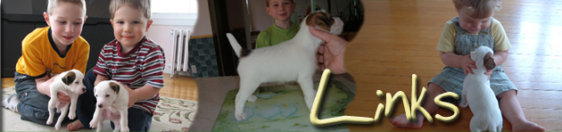 Caudlewood Kennels - Breeders of Purebred Parson Russell Terriers