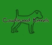 Caudlewood Kennels - Breeders of Purebred Parson Russell Terriers